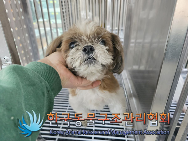 종료(반환) 시츄의…
