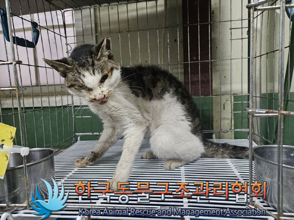 종료(자연사) 한국…