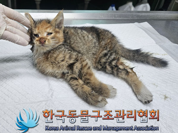 종료(자연사) 한국…