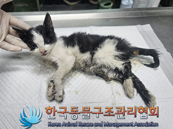종료(자연사) 한국…