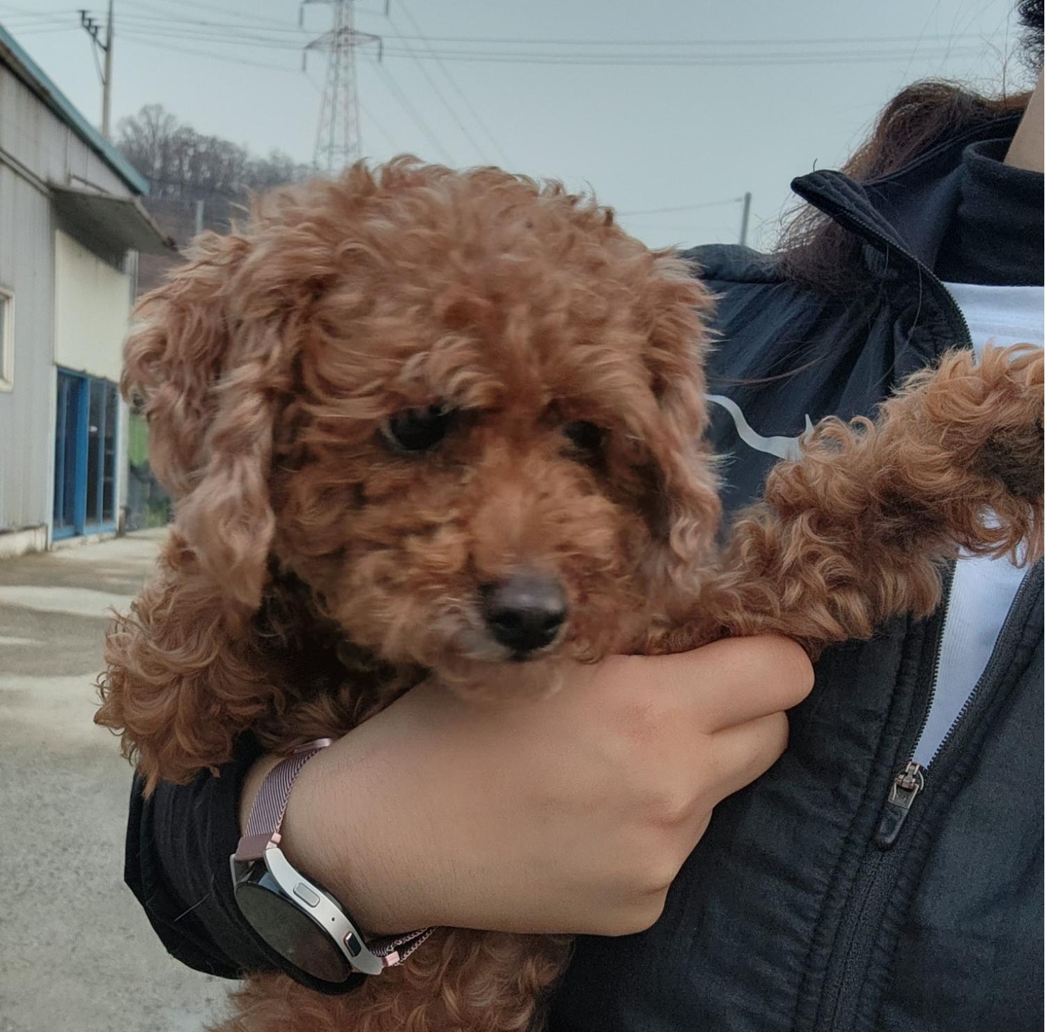 한국야생동물보호협회_441402202300609