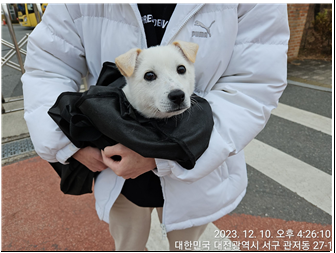 종료(반환) 믹스견…