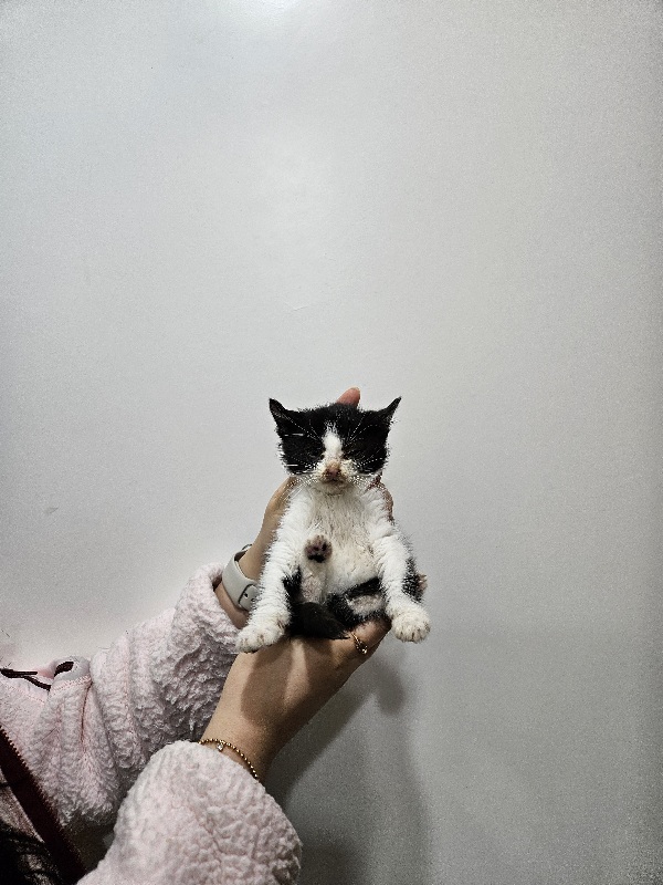 제니스동물병원_427346202301507