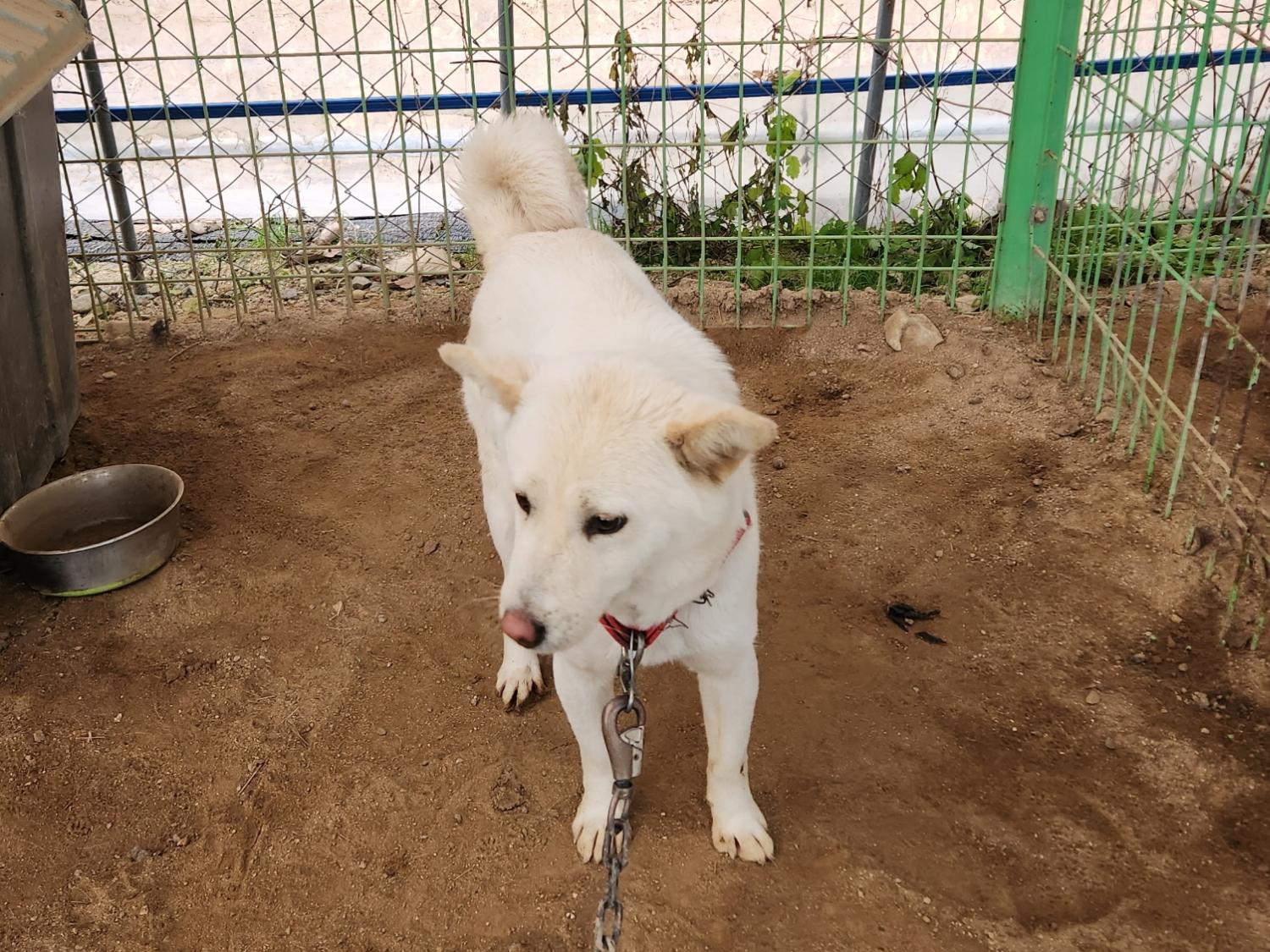 더가까운동물병원_443442202300209