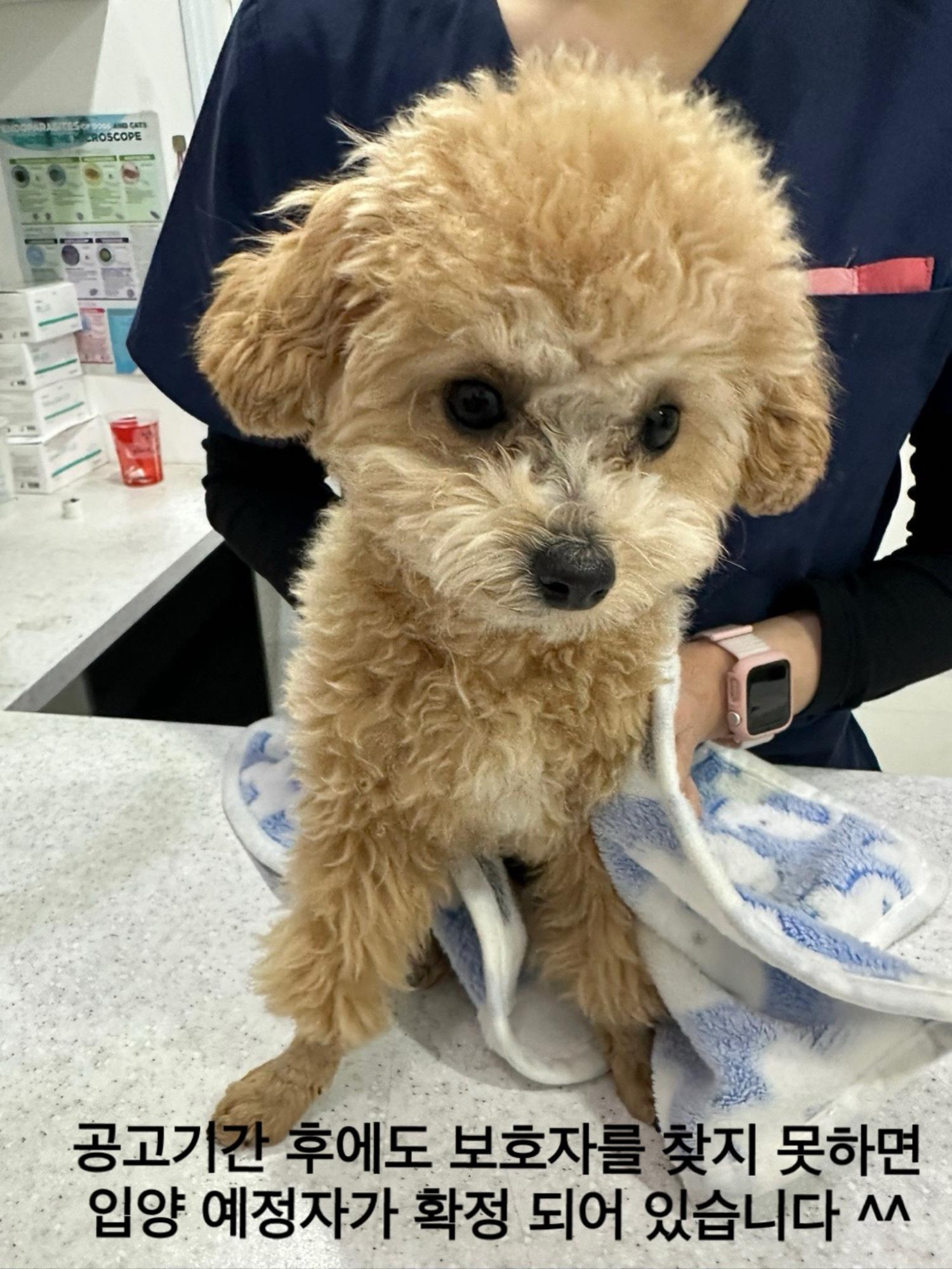 멘토동물병원_427346202301506