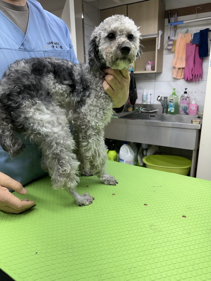 신공항동물병원_428349202301116