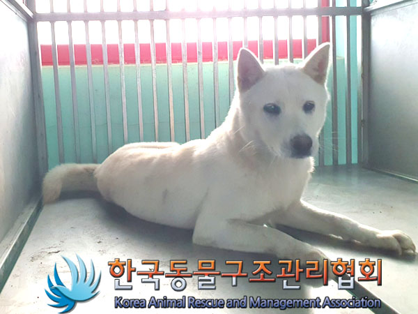 한국동물구조관리협회_441414202300957