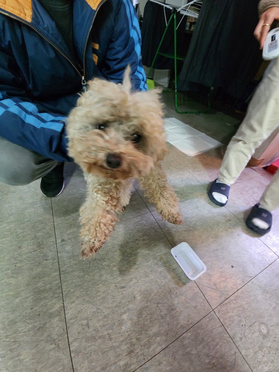 한국동물구조관리협회_441559202301345