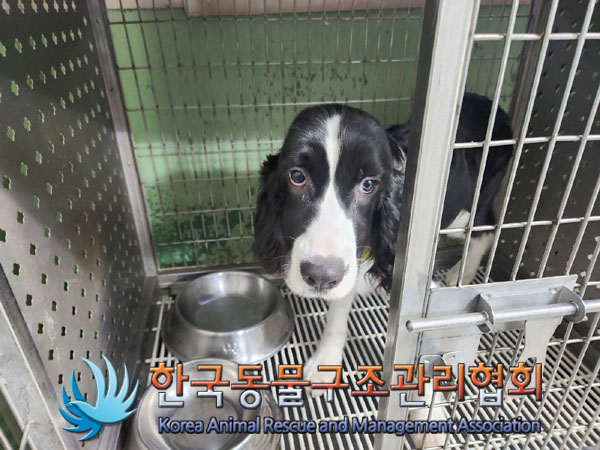 종료(반환) 코카 …