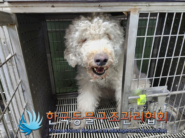 종료(반환) 스탠다…