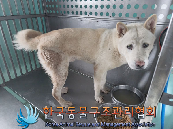 종료(안락사) 믹스…