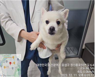 종료(반환) 믹스견…