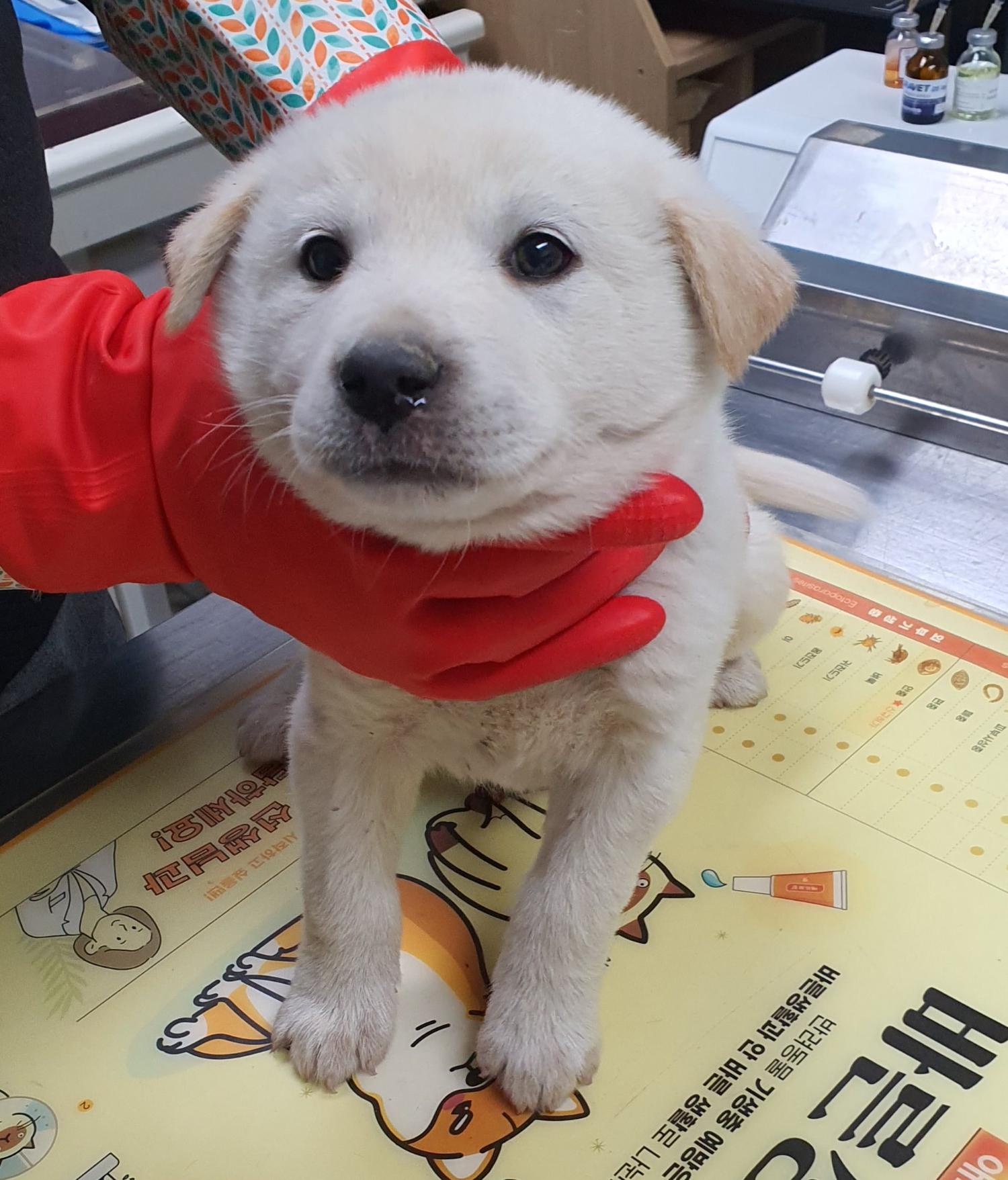 베스트동물병원_428357202301729