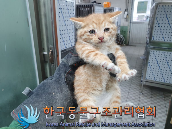 종료(자연사) 한국…