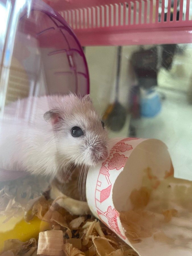 이성준동물병원_441408202301822