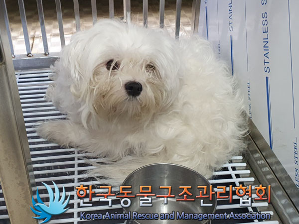 한국동물구조관리협회_411307202300563