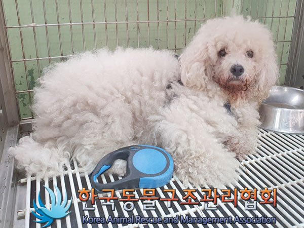 한국동물구조관리협회_411309202300488