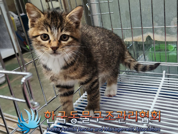 종료(자연사) 한국…