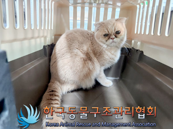 종료(입양) 엔죠의…