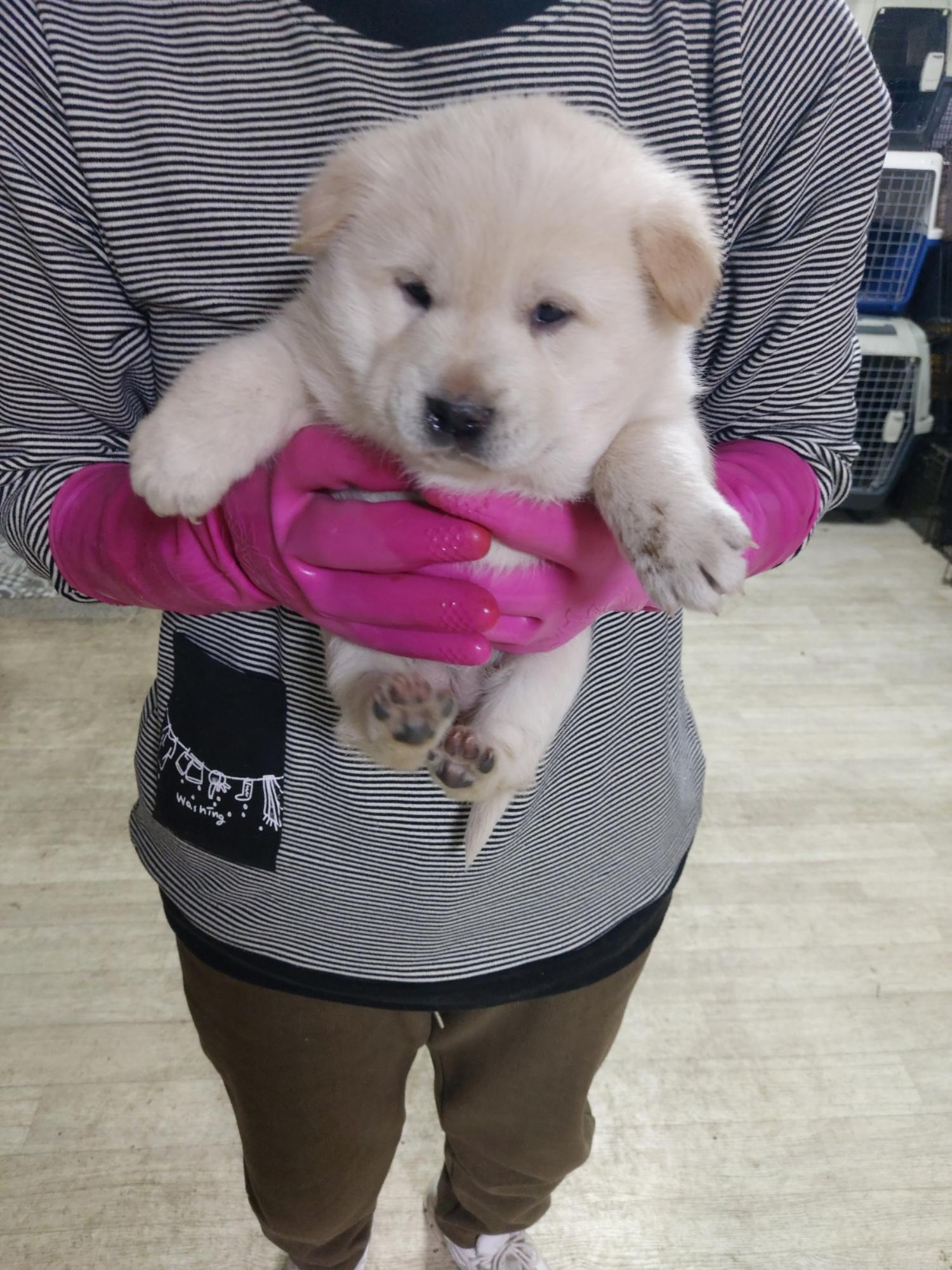 우리동물병원_428356202302062