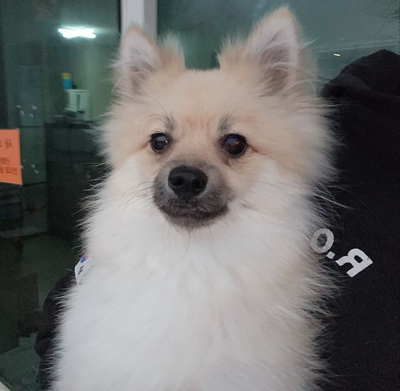 한국야생동물보호협회_441393202302360