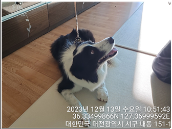 종료(반환) 보더 …