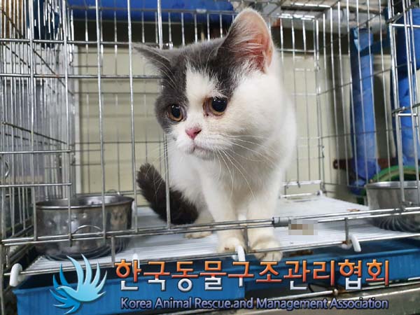종료(자연사) 믹스…