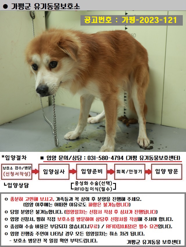 가평군유기동물보호소_441416202300818