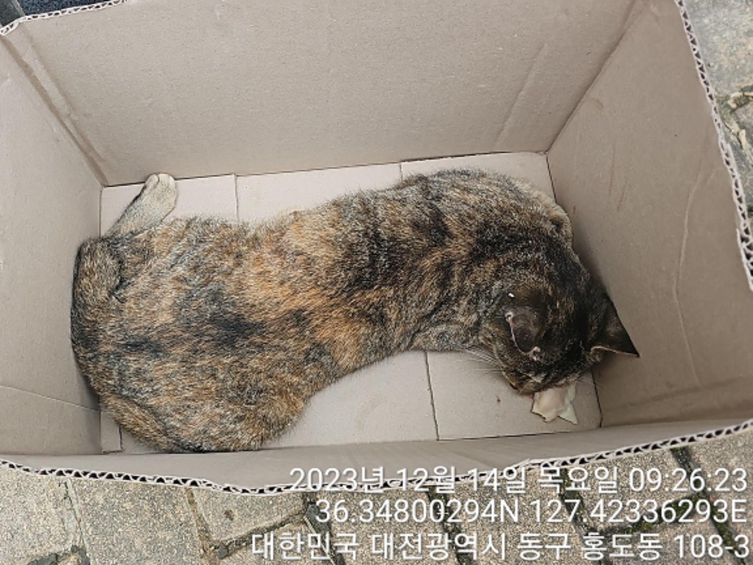 종료(자연사) 한국…