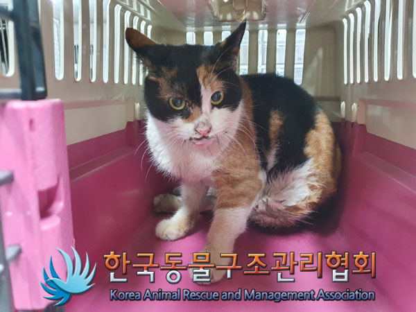 종료(자연사) 한국…