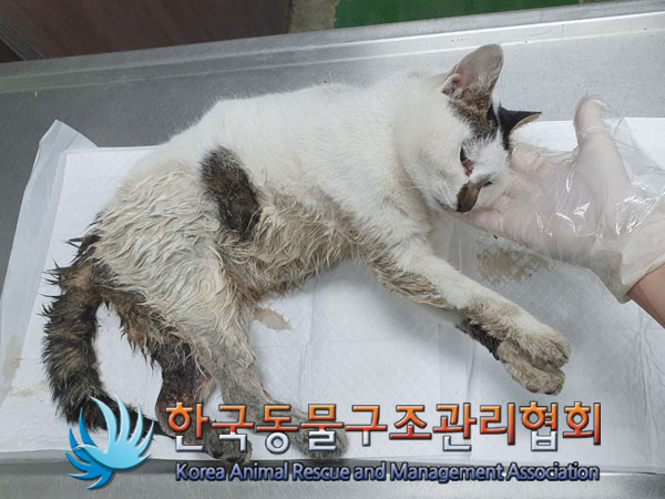 종료(자연사) 한국…