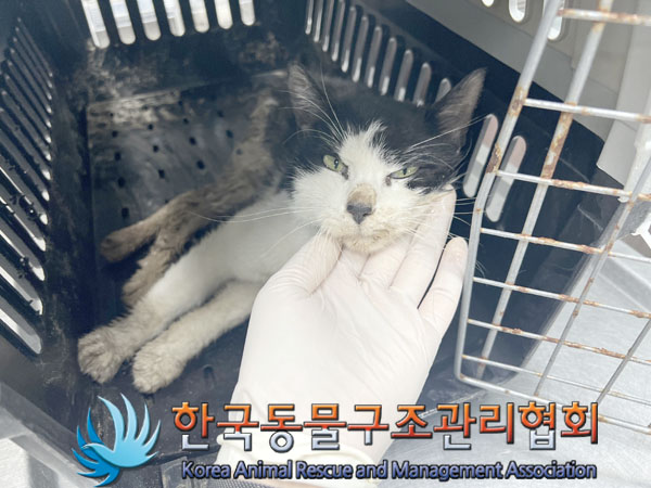 종료(자연사) 한국…