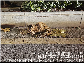 종료(자연사) 한국…