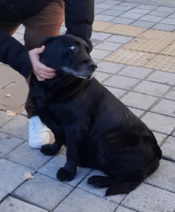 종료(반환) 라브라…