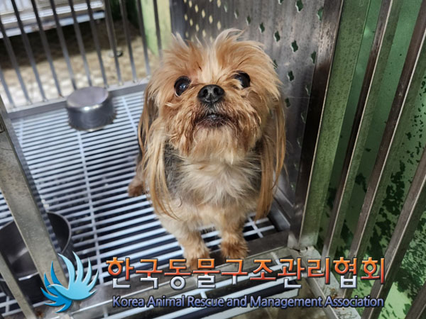 한국동물구조관리협회_411323202301029