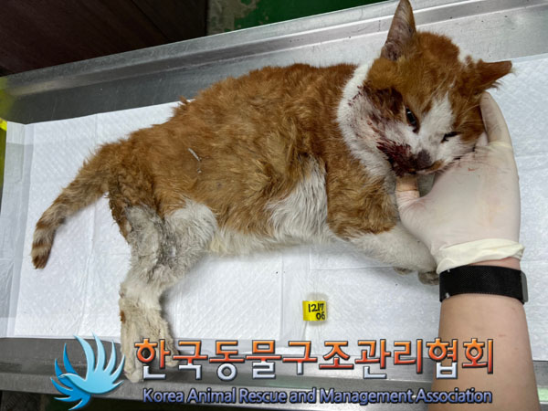 종료(자연사) 한국…