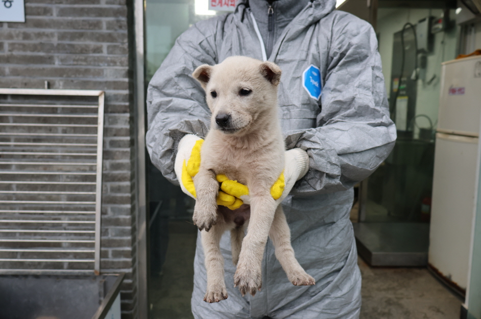 제주 동물보호센터_450650202304335