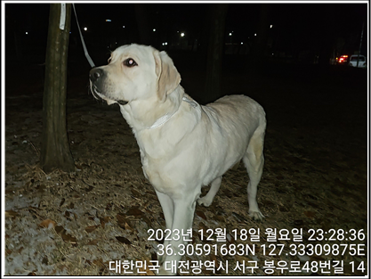 대전동물보호센터_430366202300874