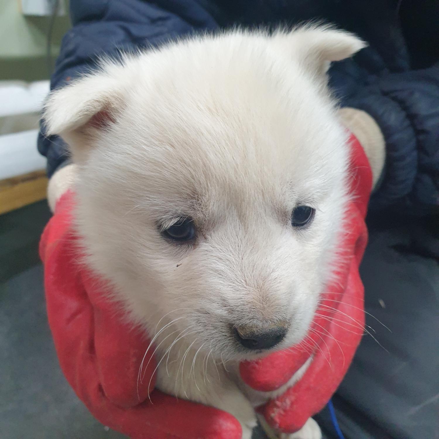 남양동물보호센터_441553202303505