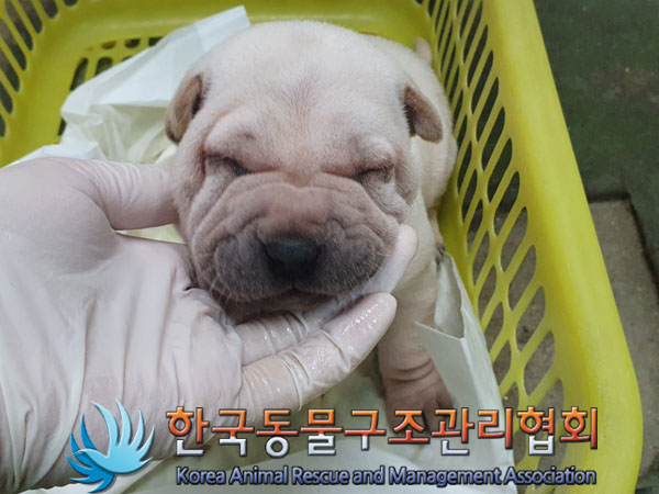 한국동물구조관리협회_441409202302114