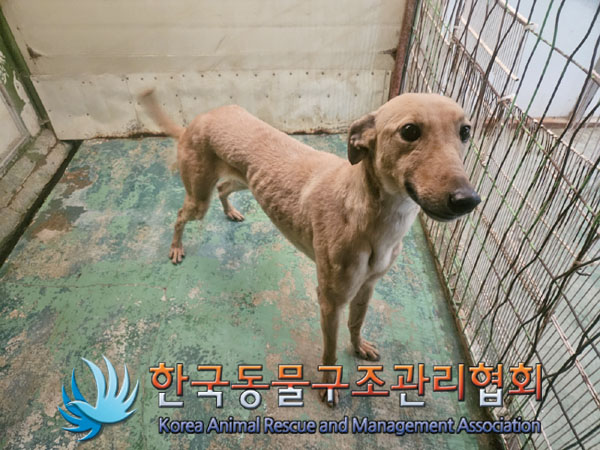 한국동물구조관리협회_441559202301362