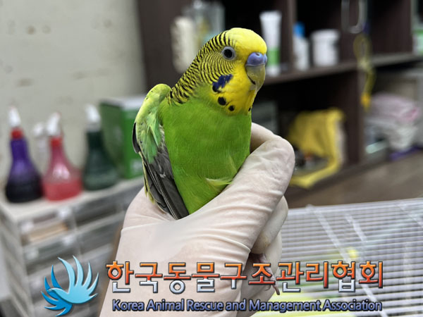 한국동물구조관리협회_411316202300961
