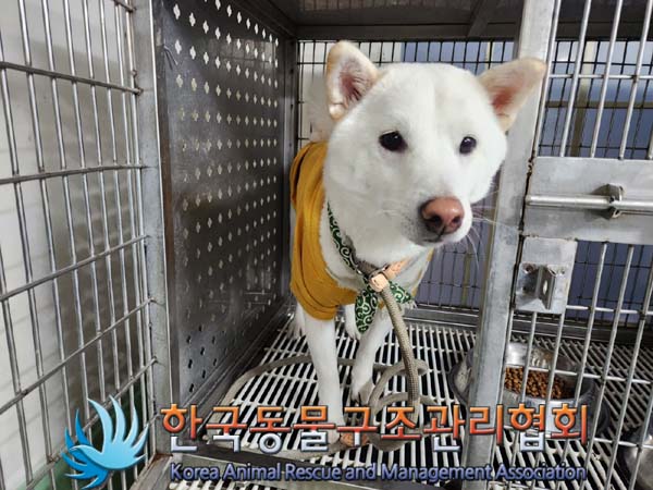 한국동물구조관리협회_441406202302079