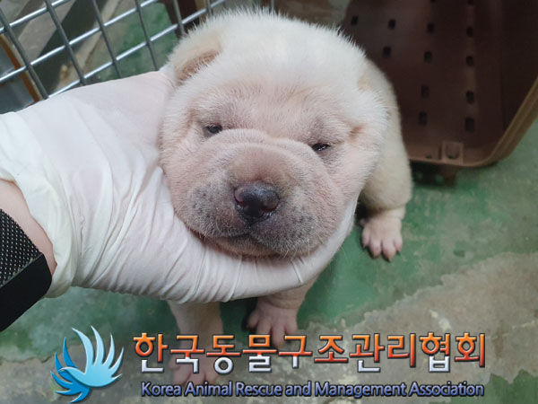한국동물구조관리협회_441409202302111