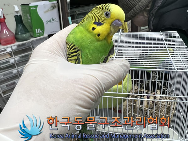 한국동물구조관리협회_411316202300962