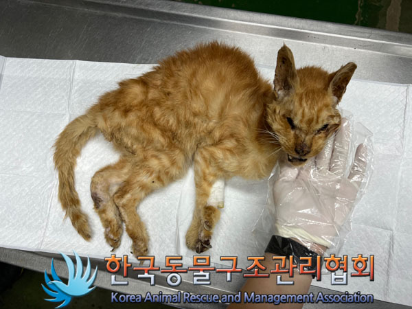 종료(자연사) 한국…