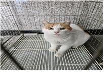 종료(방사) 한국 …