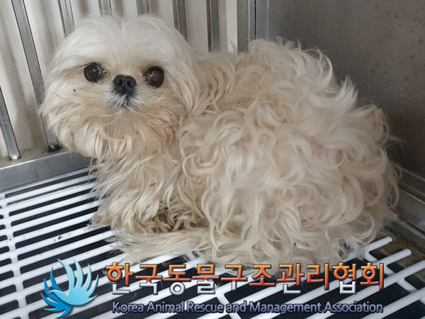 한국동물구조관리협회_411315202300788