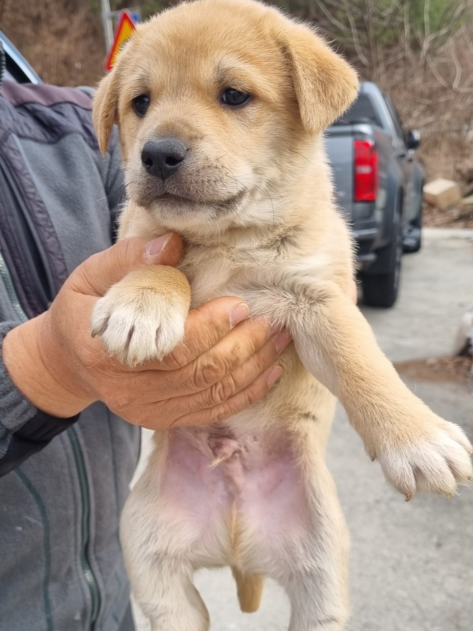 밀양시동물보호센터_448536202302726