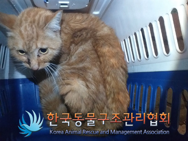종료(자연사) 한국…